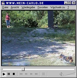 Mein Carlo Video - Baden 1a