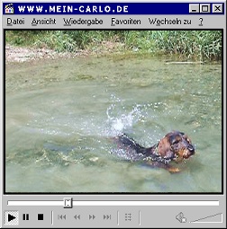 Mein Carlo Video - Baden 1b