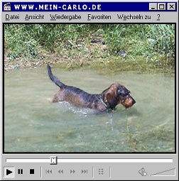 Mein Carlo Video - Baden 2