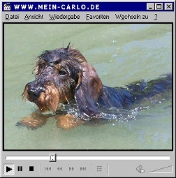 Mein Carlo Video - Baden 3