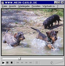 Mein Carlo Video - Baden 4