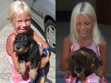 Blonde Liebe