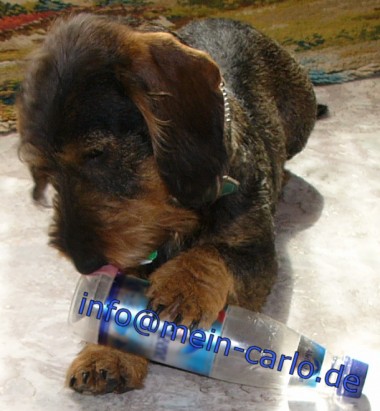 Wenn Ihr auf die Flasche klickt k�nnt Ihr mich kontaktieren