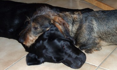 Judy und ich