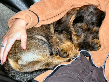 Meine Lieblingsbesch�ftigung kuscheln
