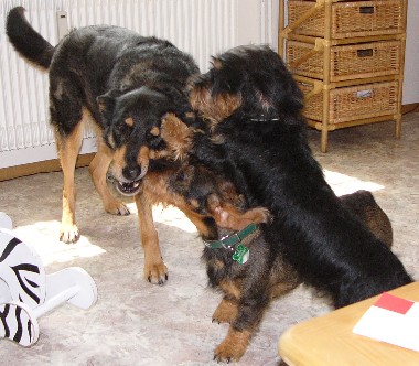 Unsere Lotte