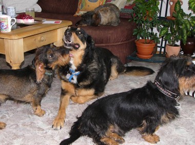 Unsere Lotte