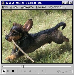 Mein Carlo Video - Rennen 1