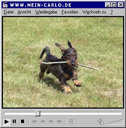 Mein Carlo Video - Rennen 2