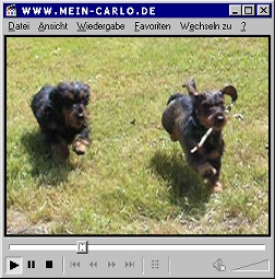 Mein Carlo Video - Rennen 3